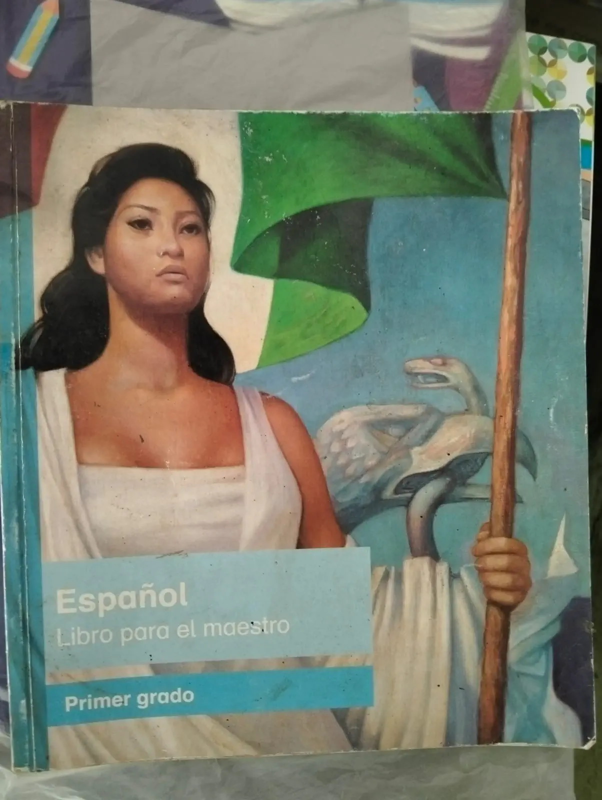 Spanish 1 Teacher’s book from 2013