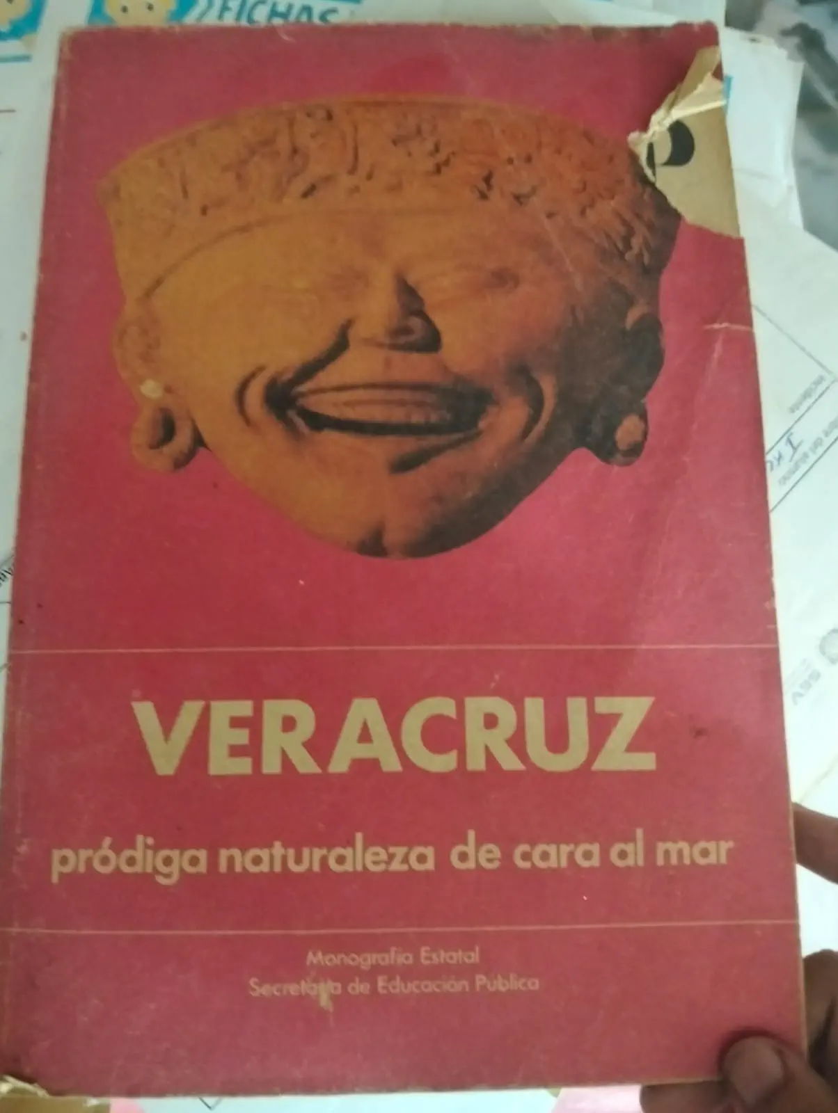 Veracruz pródiga naturaleza de cara al mar
