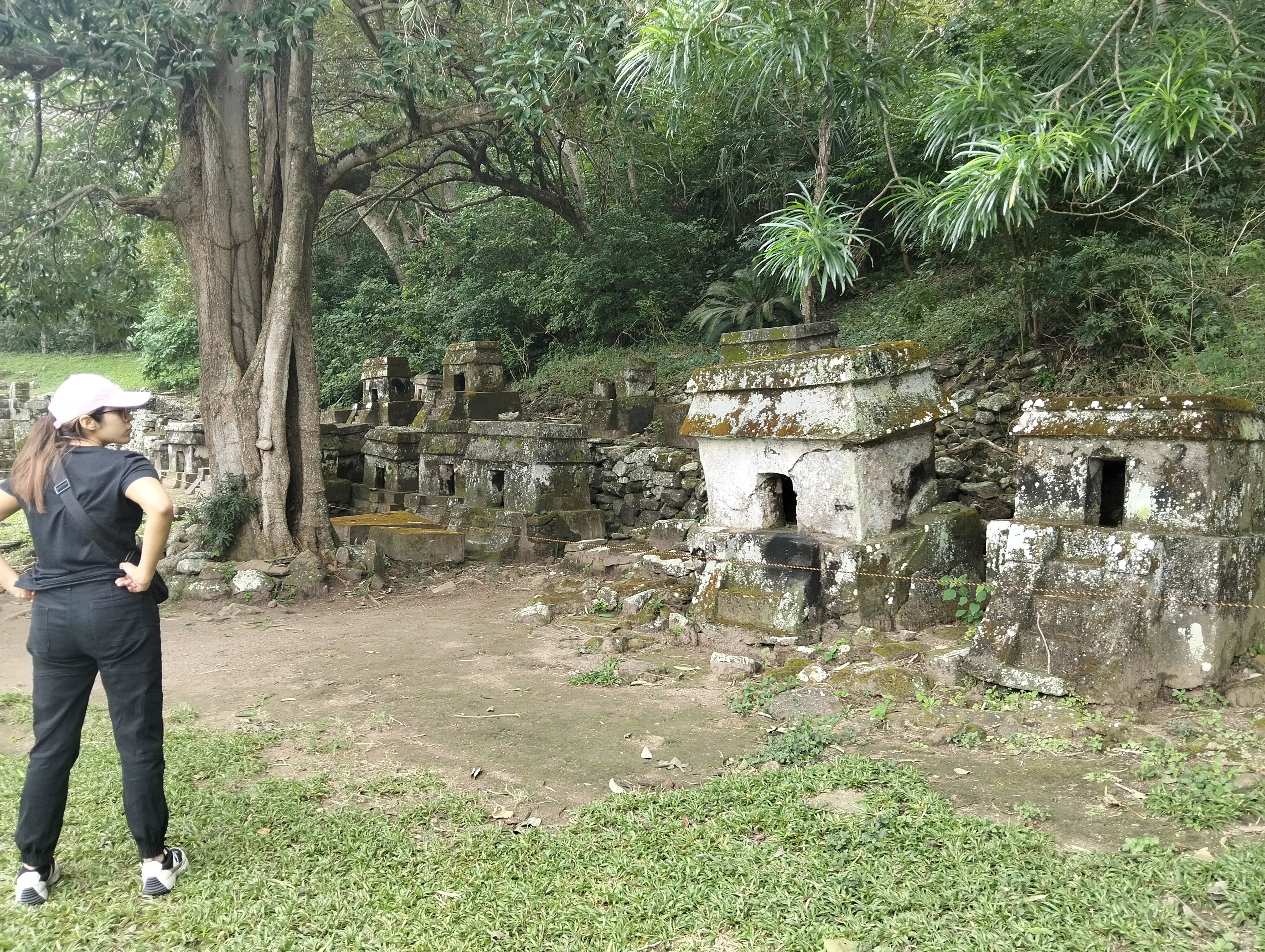 A row of mausoleum style tombs