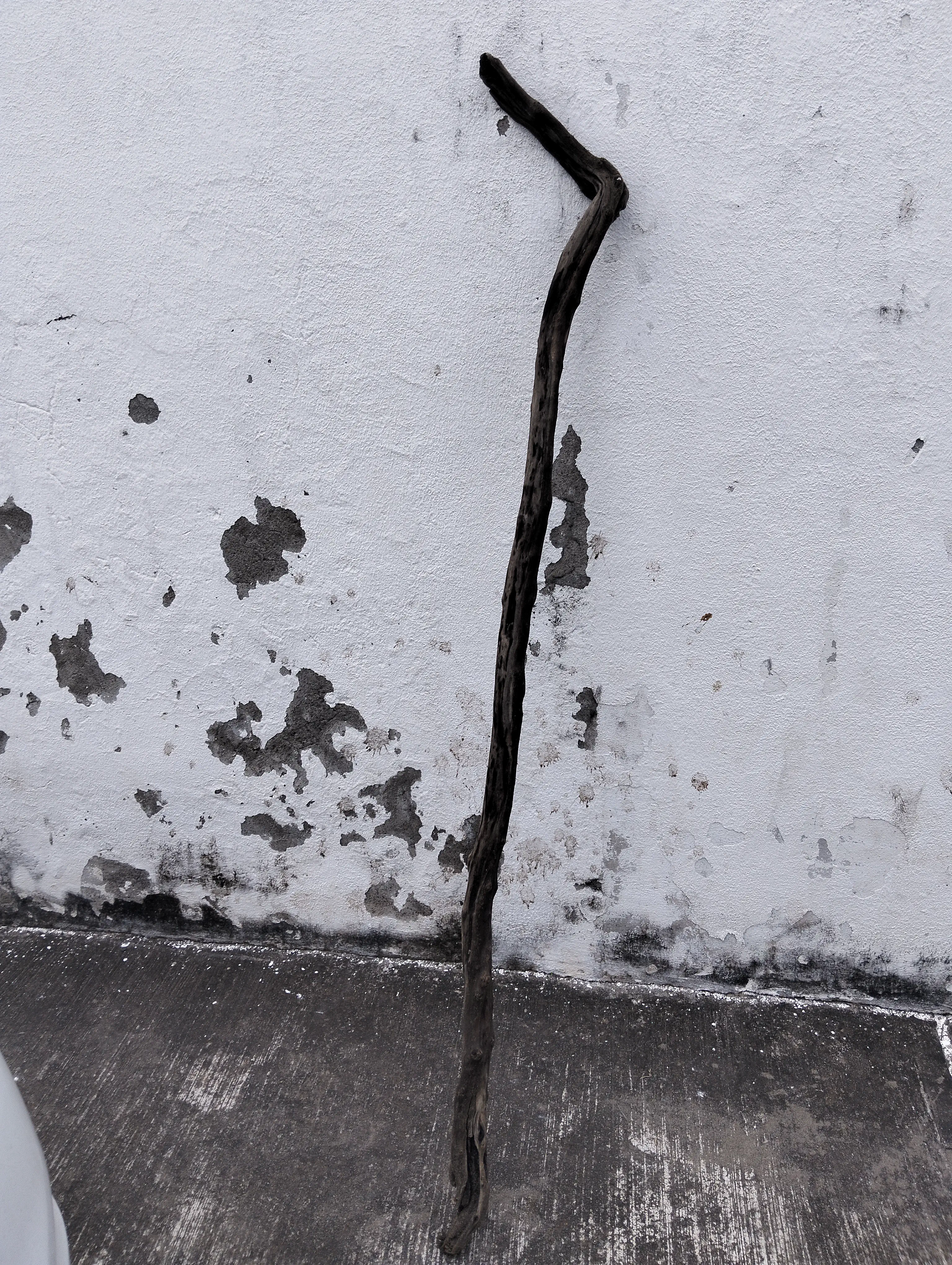 A beautiful walking stick.